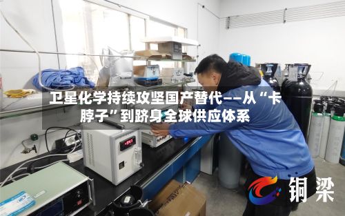 卫星化学持续攻坚国产替代——从“卡脖子”到跻身全球供应体系