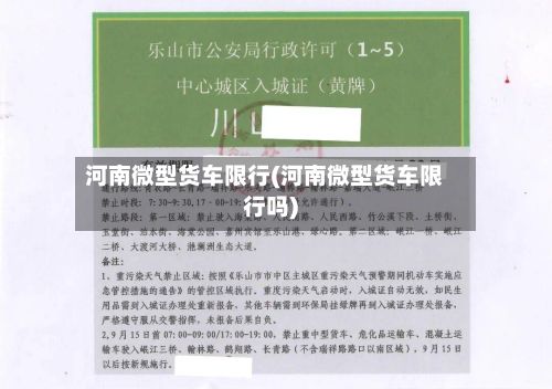 河南微型货车限行(河南微型货车限行吗)-第3张图片