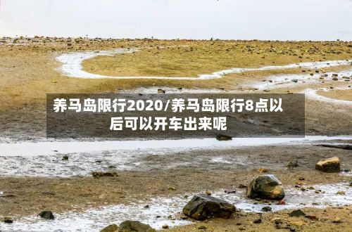 养马岛限行2020/养马岛限行8点以后可以开车出来呢