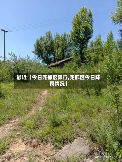 最近【今日尧都区限行,尧都区今日降雨情况】-第2张图片