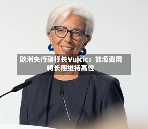 欧洲央行副行长Vujcic:能源费用
将长期维持高位-第2张图片