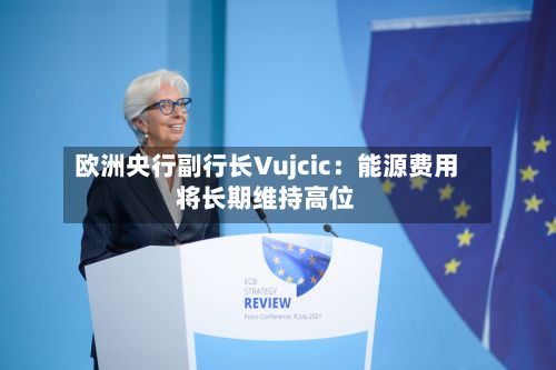 欧洲央行副行长Vujcic：能源费用将长期维持高位