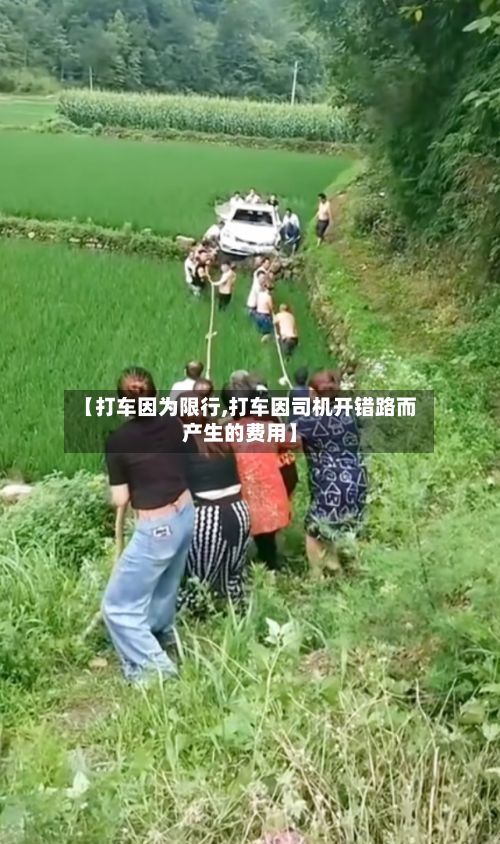 【打车因为限行,打车因司机开错路而产生的费用】