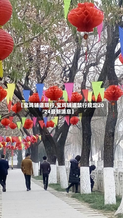 【宝鸡辅道限行,宝鸡辅道禁行规定2024最新消息】-第2张图片