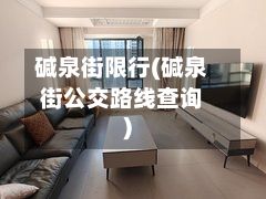 碱泉街限行(碱泉街公交路线查询)