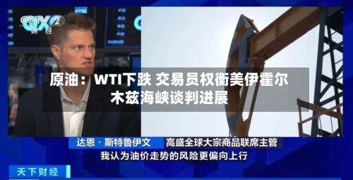 原油:WTI下跌 交易员权衡美伊霍尔木兹海峡谈判进展-第2张图片