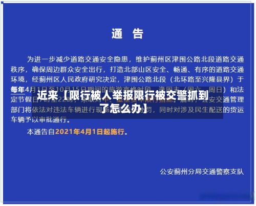 近来【限行被人举报限行被交警抓到了怎么办】-第2张图片