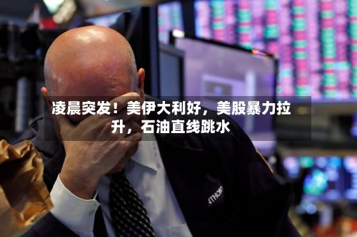 凌晨突发！美伊大利好	，美股暴力拉升，石油直线跳水-第3张图片