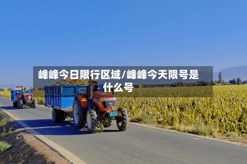 峰峰今日限行区域/峰峰今天限号是什么号-第2张图片