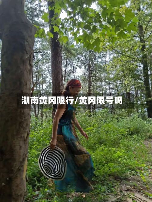 湖南黄冈限行/黄冈限号吗
