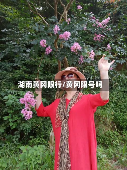 湖南黄冈限行/黄冈限号吗-第2张图片