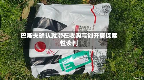 巴斯夫确认就潜在收购赢创开展探索性谈判-第2张图片