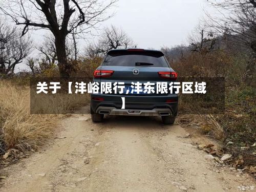 关于【沣峪限行,沣东限行区域】-第3张图片