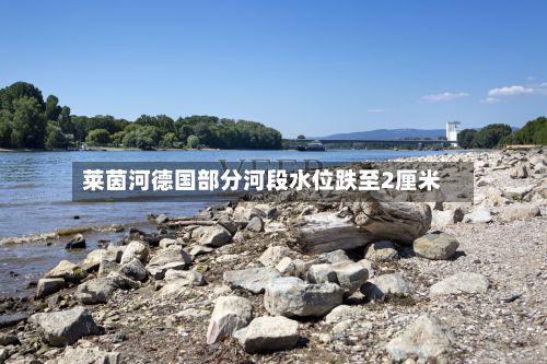 莱茵河德国部分河段水位跌至2厘米