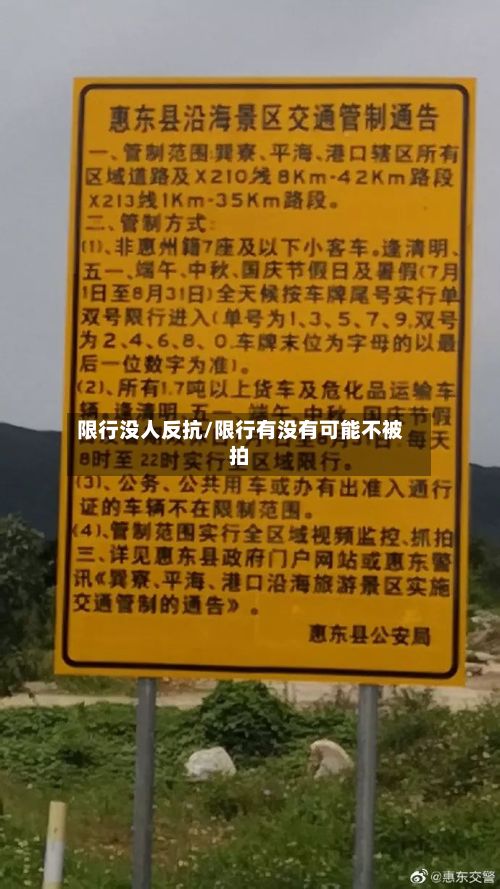 限行没人反抗/限行有没有可能不被拍-第3张图片
