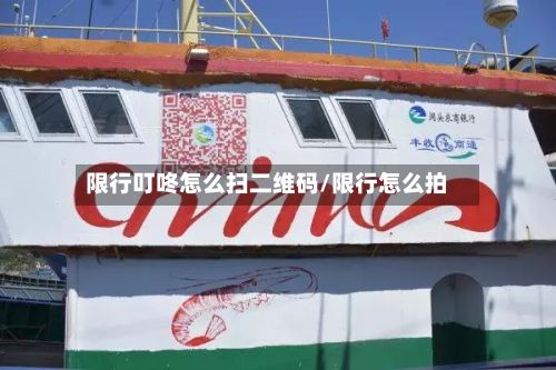 限行叮咚怎么扫二维码/限行怎么拍