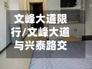 文峰大道限行/文峰大道与兴泰路交叉口