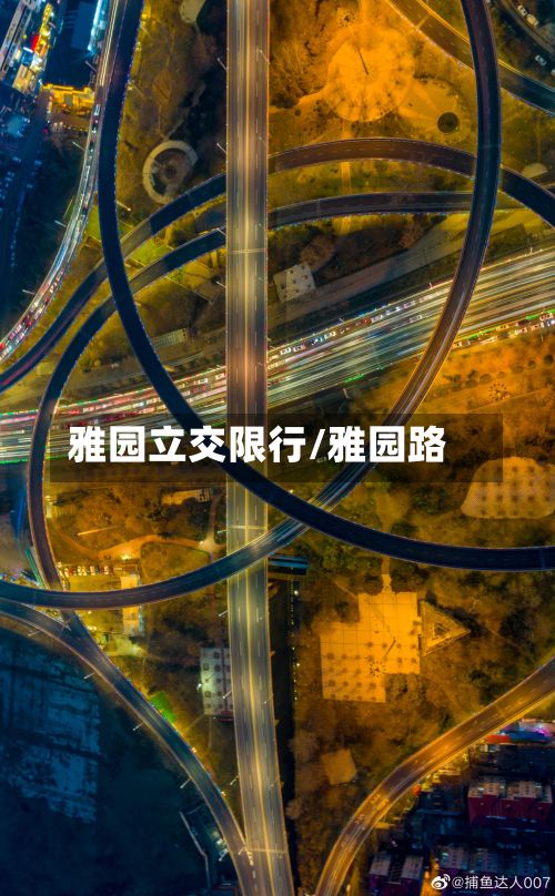 雅园立交限行/雅园路