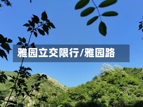 雅园立交限行/雅园路-第2张图片