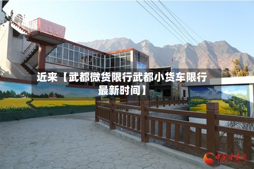 近来【武都微货限行武都小货车限行最新时间】