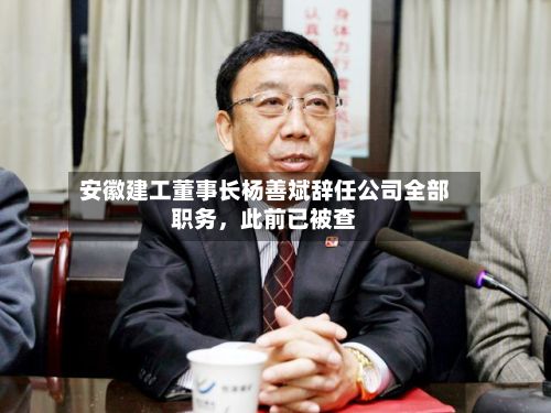 安徽建工董事长杨善斌辞任公司全部职务，此前已被查-第2张图片