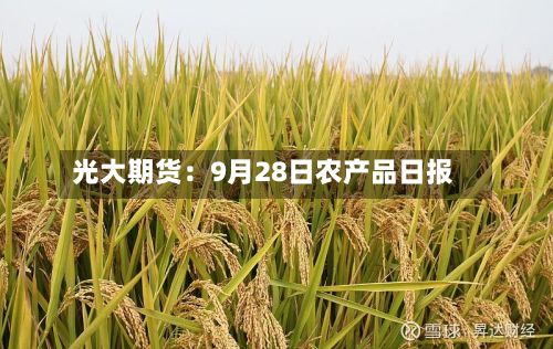 光大期货:9月28日农产品日报-第1张图片