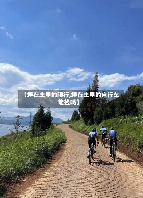 【埋在土里的限行,埋在土里的自行车能捡吗】