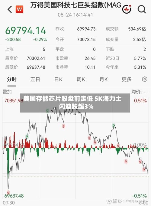 美国存储芯片股盘前走低 SK海力士、闪迪跌超3%
