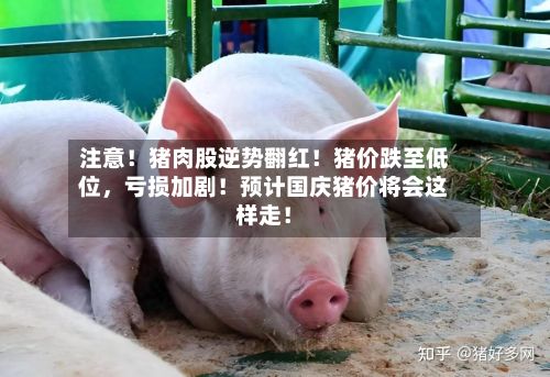 注意！猪肉股逆势翻红！猪价跌至低位，亏损加剧！预计国庆猪价将会这样走！-第2张图片