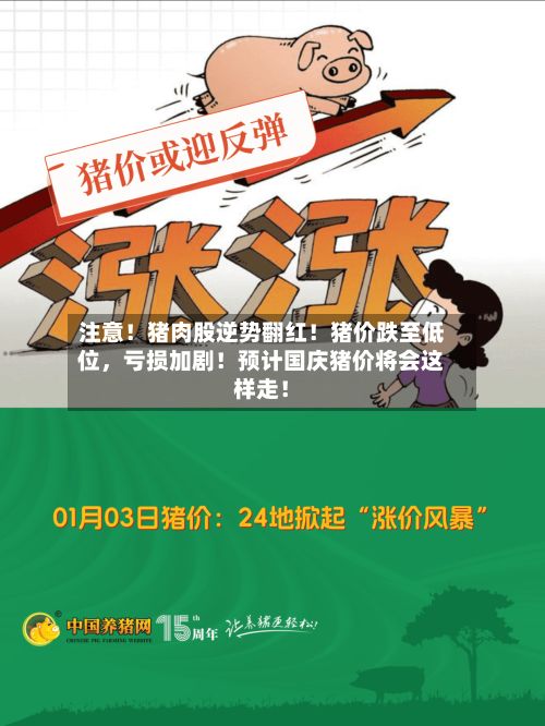 注意！猪肉股逆势翻红！猪价跌至低位	，亏损加剧！预计国庆猪价将会这样走！-第1张图片