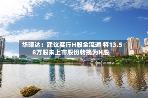 华曦达：建议实行H股全流通 将13.58万股未上市股份转换为H股