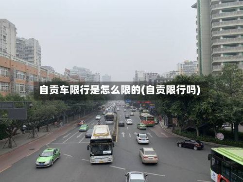 自贡车限行是怎么限的(自贡限行吗)