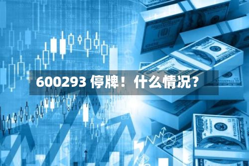 600293 停牌!什么情况?-第2张图片