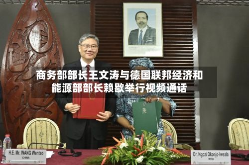 商务部部长王文涛与德国联邦经济和能源部部长赖歇举行视频通话