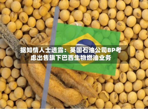 据知情人士透露：英国石油公司BP考虑出售旗下巴西生物燃油业务