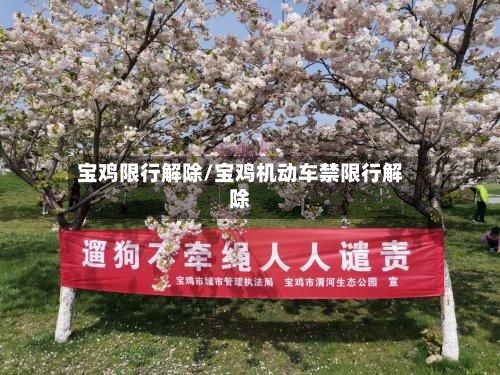 宝鸡限行解除/宝鸡机动车禁限行解除-第2张图片