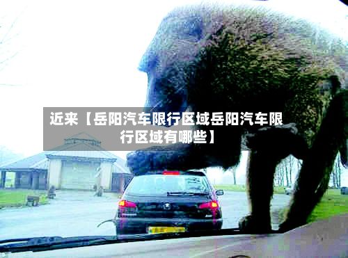 近来【岳阳汽车限行区域岳阳汽车限行区域有哪些】-第3张图片
