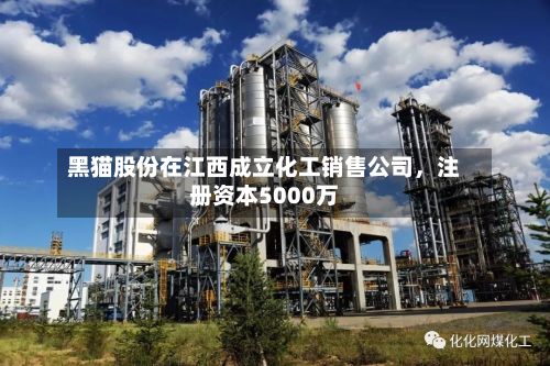 黑猫股份在江西成立化工销售公司	，注册资本5000万-第2张图片