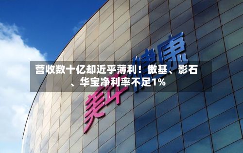 营收数十亿却近乎薄利！傲基、影石、华宝净利率不足1%-第2张图片