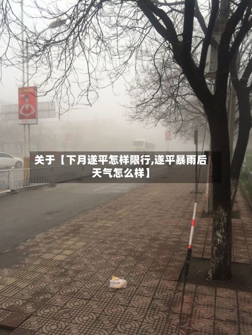 关于【下月遂平怎样限行,遂平暴雨后天气怎么样】-第3张图片