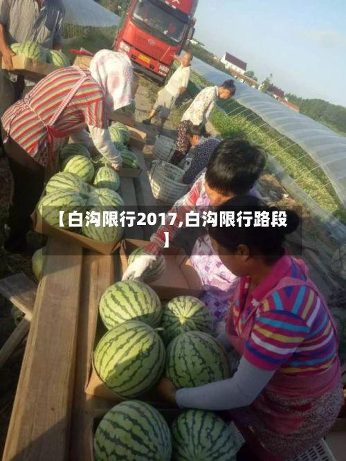 【白沟限行2017,白沟限行路段】-第3张图片