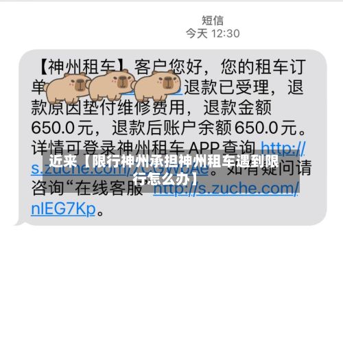 近来【限行神州承担神州租车遇到限行怎么办】-第3张图片