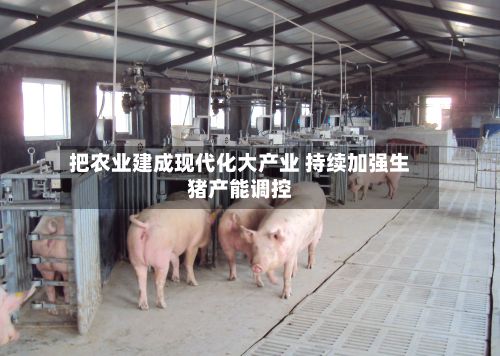 把农业建成现代化大产业 持续加强生猪产能调控-第1张图片