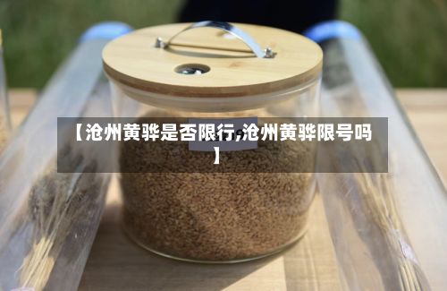 【沧州黄骅是否限行,沧州黄骅限号吗】