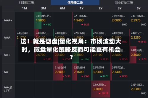 这！就是微盘|量化视角：市场波动大时，微盘量化策略反而可能更有机会？
