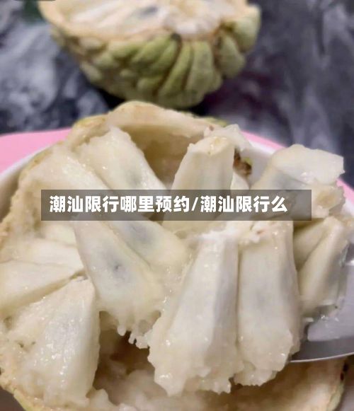 潮汕限行哪里预约/潮汕限行么-第3张图片