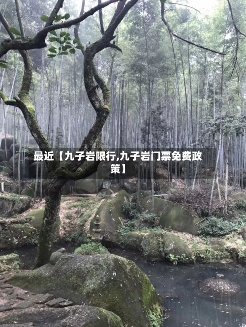 最近【九子岩限行,九子岩门票免费政策】-第2张图片