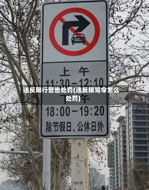 违反限行警告处罚(违反限驾令怎么处罚)