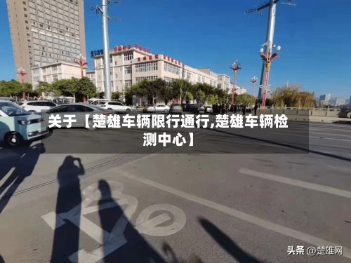 关于【楚雄车辆限行通行,楚雄车辆检测中心】-第3张图片