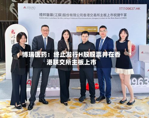 博瑞医药：终止发行H股股票并在香港联交所主板上市-第2张图片